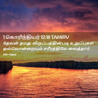 Picture 02 - 1 கொரிந்தியர் 12:18 TAMIRV - தேவன் தமது - Bible Verse Picture