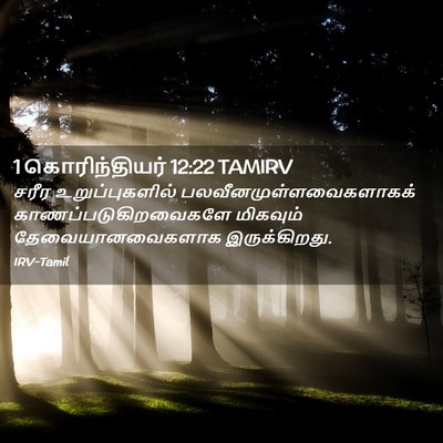 Picture 02 - 1 கொரிந்தியர் 12:22 TAMIRV - சரீர உறுப்புகளில் - Bible Verse Picture