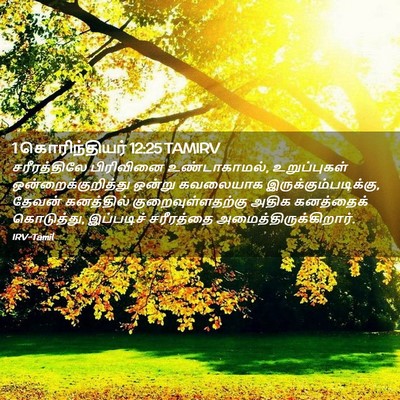 Picture 02 - 1 கொரிந்தியர் 12:25 TAMIRV - சரீரத்திலே - Bible Verse Picture
