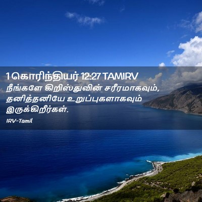 Picture 02 - 1 கொரிந்தியர் 12:27 TAMIRV - நீங்களே - Bible Verse Picture