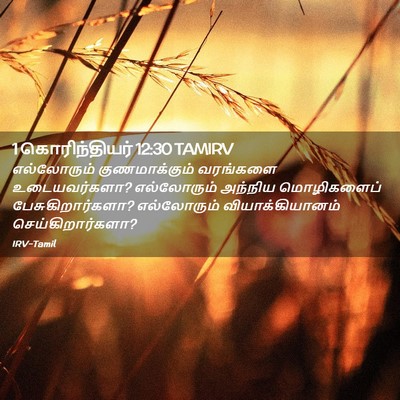 Picture 02 - 1 கொரிந்தியர் 12:30 TAMIRV - எல்லோரும் - Bible Verse Picture