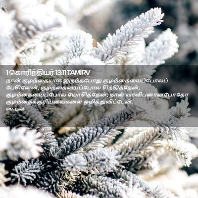 Picture 02 - 1 கொரிந்தியர் 13:11 TAMIRV - நான் குழந்தையாக - Bible Verse Picture