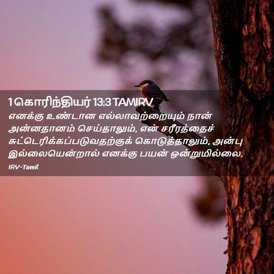 Picture 02 - 1 கொரிந்தியர் 13:3 TAMIRV - எனக்கு உண்டான - Bible Verse Picture