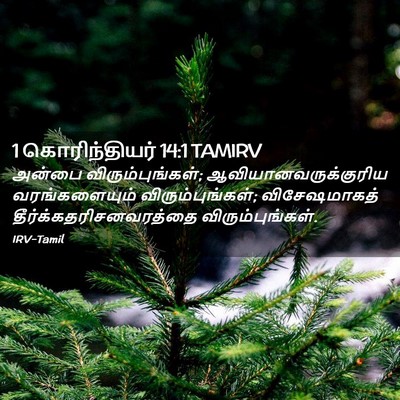Picture 02 - 1 கொரிந்தியர் 14:1 TAMIRV - அன்பை - Bible Verse Picture