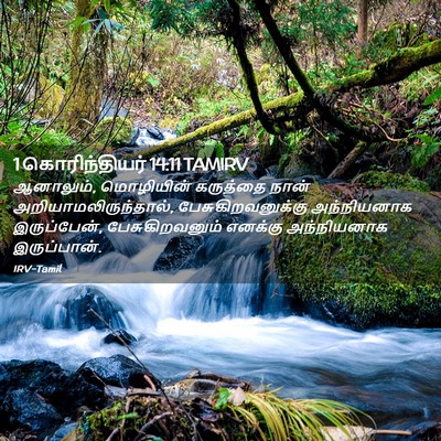 Picture 02 - 1 கொரிந்தியர் 14:11 TAMIRV - ஆனாலும், மொழியின் - Bible Verse Picture
