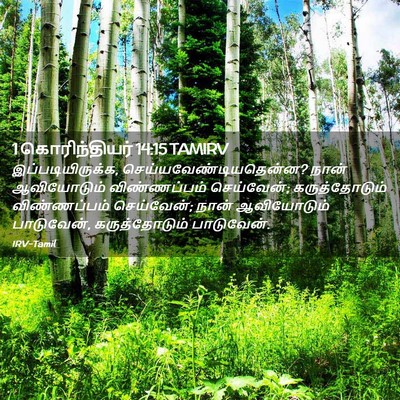 Picture 02 - 1 கொரிந்தியர் 14:15 TAMIRV - இப்படியிருக்க, - Bible Verse Picture