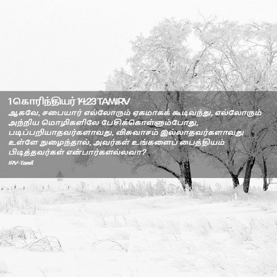 Picture 02 - 1 கொரிந்தியர் 14:23 TAMIRV - ஆகவே, சபையார் - Bible Verse Picture