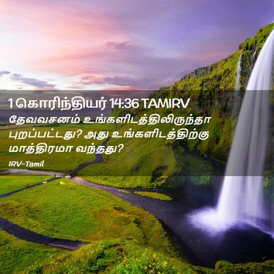 Picture 02 - 1 கொரிந்தியர் 14:36 TAMIRV - தேவவசனம் - Bible Verse Picture