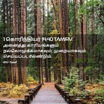 Picture 02 - 1 கொரிந்தியர் 14:40 TAMIRV - அனைத்து - Bible Verse Picture