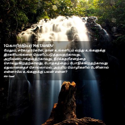 Picture 02 - 1 கொரிந்தியர் 14:6 TAMIRV - மேலும், - Bible Verse Picture