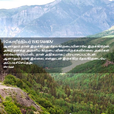Picture 02 - 1 கொரிந்தியர் 15:10 TAMIRV - ஆனாலும் நான் - Bible Verse Picture