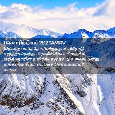 Picture 02 - 1 கொரிந்தியர் 15:12 TAMIRV - கிறிஸ்து - Bible Verse Picture