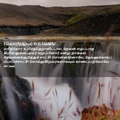 Picture 02 - 1 கொரிந்தியர் 15:15 TAMIRV - மரித்தோர் - Bible Verse Picture