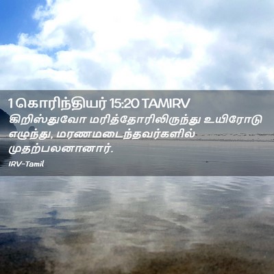 Picture 02 - 1 கொரிந்தியர் 15:20 TAMIRV - கிறிஸ்துவோ - Bible Verse Picture