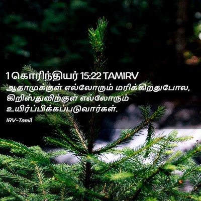 Picture 02 - 1 கொரிந்தியர் 15:22 TAMIRV - ஆதாமுக்குள் - Bible Verse Picture