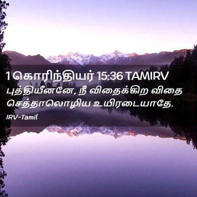 Picture 02 - 1 கொரிந்தியர் 15:36 TAMIRV - புத்தியீனனே, நீ - Bible Verse Picture