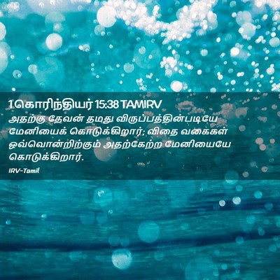 Picture 02 - 1 கொரிந்தியர் 15:38 TAMIRV - அதற்கு தேவன் தமது - Bible Verse Picture