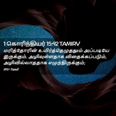 Picture 02 - 1 கொரிந்தியர் 15:42 TAMIRV - மரித்தோரின் - Bible Verse Picture