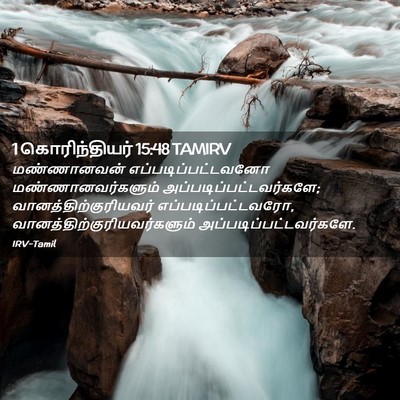 Picture 02 - 1 கொரிந்தியர் 15:48 TAMIRV - மண்ணானவன் - Bible Verse Picture