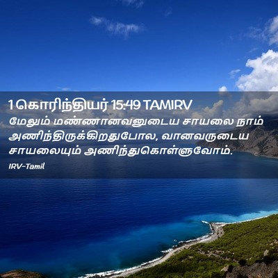 Picture 02 - 1 கொரிந்தியர் 15:49 TAMIRV - மேலும் - Bible Verse Picture