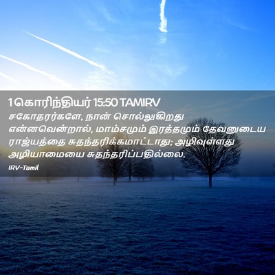 Picture 02 - 1 கொரிந்தியர் 15:50 TAMIRV - சகோதரர்களே, நான் - Bible Verse Picture