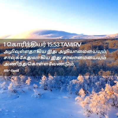 Picture 02 - 1 கொரிந்தியர் 15:53 TAMIRV - அழிவுள்ளதாகிய இது - Bible Verse Picture