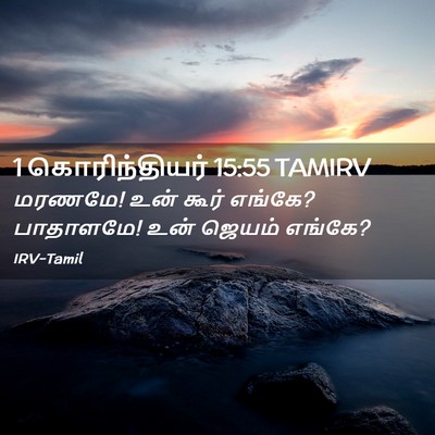 Picture 02 - 1 கொரிந்தியர் 15:55 TAMIRV - மரணமே! உன் கூர் - Bible Verse Picture