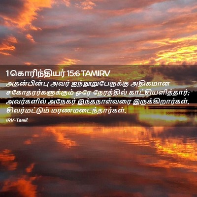 Picture 02 - 1 கொரிந்தியர் 15:6 TAMIRV - அதன்பின்பு அவர் - Bible Verse Picture