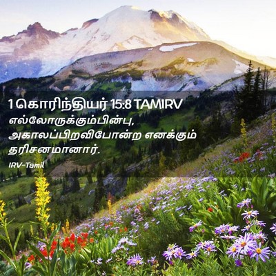Picture 02 - 1 கொரிந்தியர் 15:8 TAMIRV -  - Bible Verse Picture