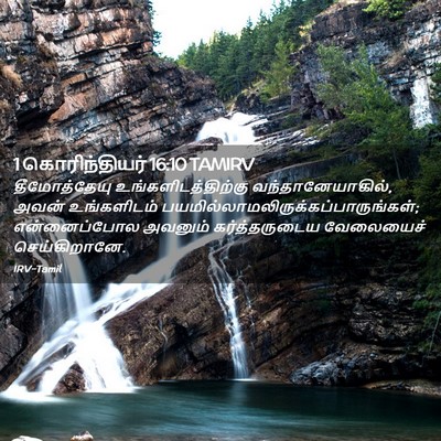 Picture 02 - 1 கொரிந்தியர் 16:10 TAMIRV - தீமோத்தேயு - Bible Verse Picture