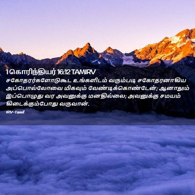 Picture 02 - 1 கொரிந்தியர் 16:12 TAMIRV - சகோதரர்களோடுகூட - Bible Verse Picture