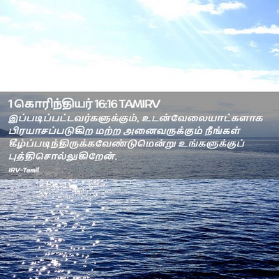 Picture 02 - 1 கொரிந்தியர் 16:16 TAMIRV -  - Bible Verse Picture