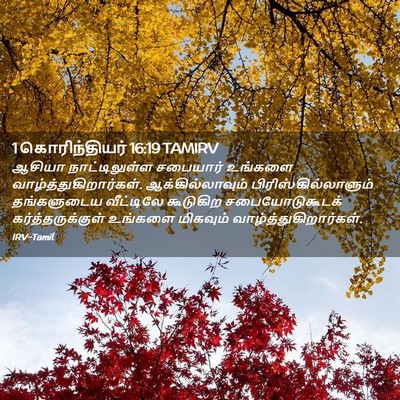 Picture 02 - 1 கொரிந்தியர் 16:19 TAMIRV - ஆசியா நாட்டிலுள்ள - Bible Verse Picture