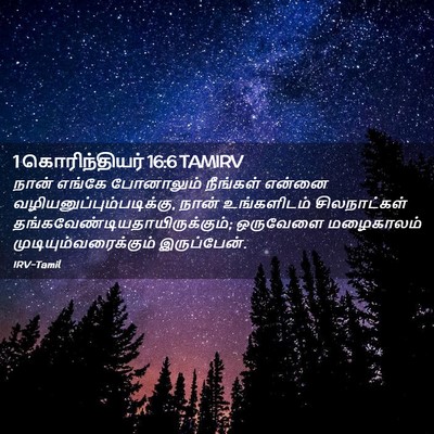 Picture 02 - 1 கொரிந்தியர் 16:6 TAMIRV - நான் எங்கே - Bible Verse Picture