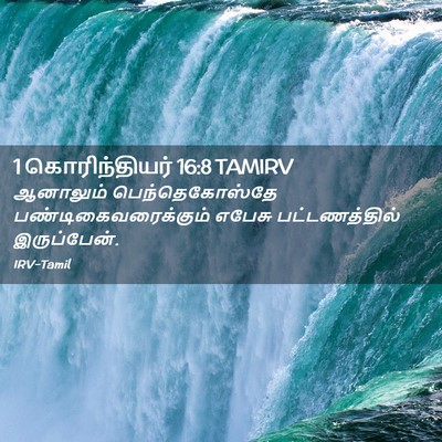 Picture 02 - 1 கொரிந்தியர் 16:8 TAMIRV - ஆனாலும் - Bible Verse Picture