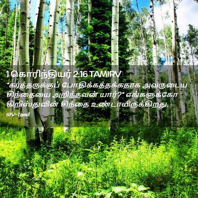 Picture 02 - 1 கொரிந்தியர் 2:16 TAMIRV - “கர்த்தருக்குப் - Bible Verse Picture