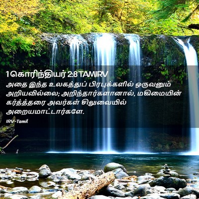 Picture 02 - 1 கொரிந்தியர் 2:8 TAMIRV - அதை இந்த - Bible Verse Picture