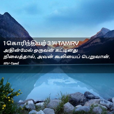 Picture 02 - 1 கொரிந்தியர் 3:14 TAMIRV - அதின்மேல் ஒருவன் - Bible Verse Picture