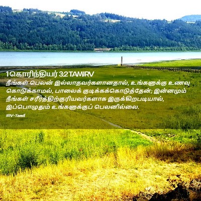 Picture 02 - 1 கொரிந்தியர் 3:2 TAMIRV - நீங்கள் பெலன் - Bible Verse Picture