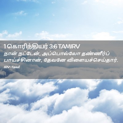 Picture 02 - 1 கொரிந்தியர் 3:6 TAMIRV - நான் நட்டேன், - Bible Verse Picture