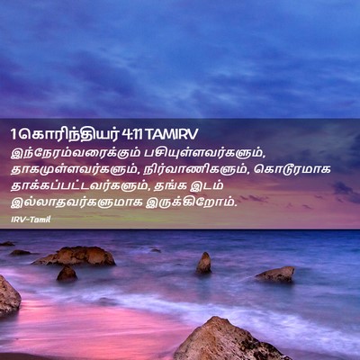 Picture 02 - 1 கொரிந்தியர் 4:11 TAMIRV -  - Bible Verse Picture
