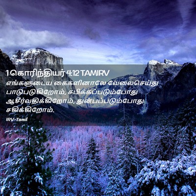 Picture 02 - 1 கொரிந்தியர் 4:12 TAMIRV - எங்களுடைய - Bible Verse Picture