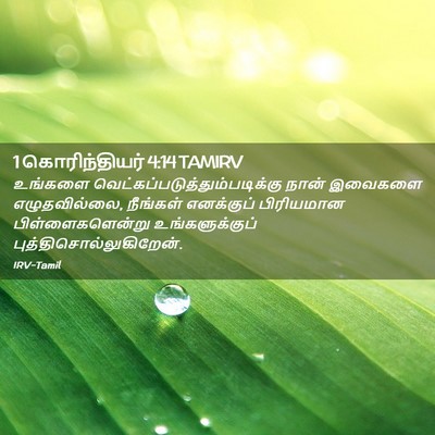 Picture 02 - 1 கொரிந்தியர் 4:14 TAMIRV - உங்களை - Bible Verse Picture