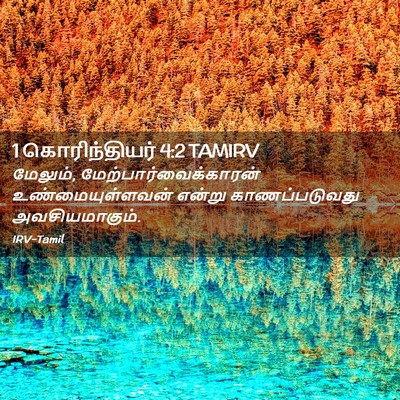 Picture 02 - 1 கொரிந்தியர் 4:2 TAMIRV - மேலும், - Bible Verse Picture