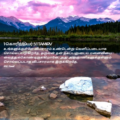 Picture 02 - 1 கொரிந்தியர் 5:1 TAMIRV - உங்களுக்குள்ளே - Bible Verse Picture