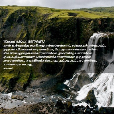 Picture 02 - 1 கொரிந்தியர் 5:11 TAMIRV - நான் உங்களுக்கு - Bible Verse Picture