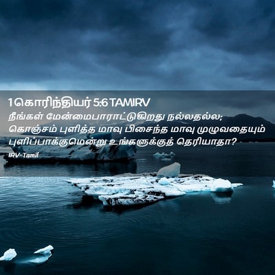 Picture 02 - 1 கொரிந்தியர் 5:6 TAMIRV - நீங்கள் - Bible Verse Picture