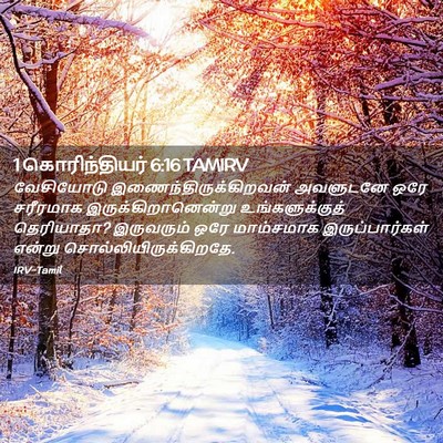 Picture 02 - 1 கொரிந்தியர் 6:16 TAMIRV - வேசியோடு - Bible Verse Picture