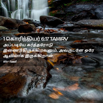 Picture 02 - 1 கொரிந்தியர் 6:17 TAMIRV - அப்படியே - Bible Verse Picture