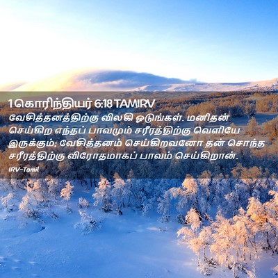 Picture 02 - 1 கொரிந்தியர் 6:18 TAMIRV - வேசித்தனத்திற்கு - Bible Verse Picture